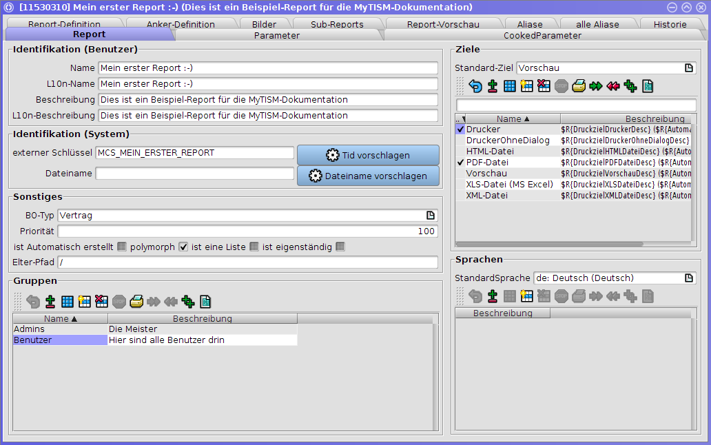 Der Dialog zum Erstellen und Bearbeiten von Reports (Reiter "Report")